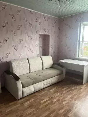 Фото к объявлению #22164866