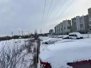 Фото к объявлению #22255105