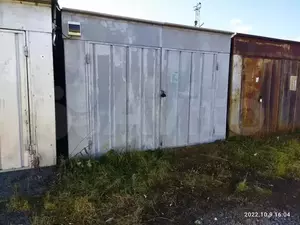 Фото к объявлению #21227552