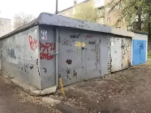 Фото к объявлению #22025210