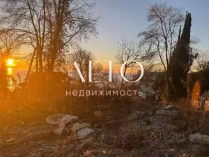 Фото к объявлению #22136632