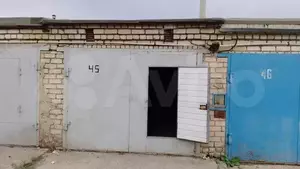 Фото к объявлению #21324393