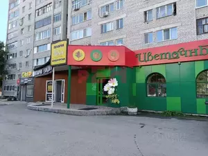 Фото к объявлению #22134606