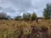 Фото к объявлению #