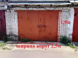 Фото к объявлению #20954809