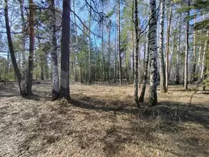 Фото к объявлению #22004469