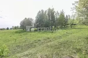 Фото к объявлению #22113654