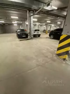 Фото к объявлению #22054408