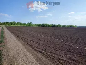 Фото к объявлению #21224578