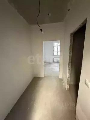 Фото к объявлению #22263742