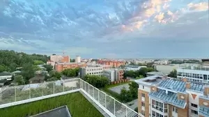 Фото к объявлению #21098107