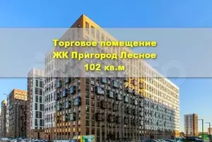 Фото к объявлению #19976561
