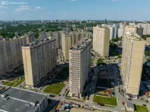 Фото к объявлению #20857745