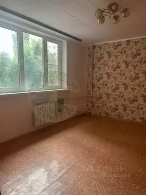 Фото к объявлению #22200930