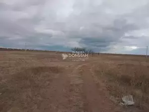 Фото к объявлению #22214478