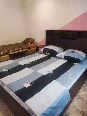 Фото к объявлению #20627909