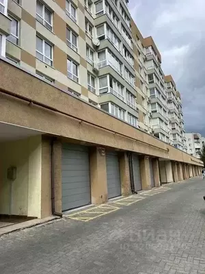 Фото к объявлению #22135842