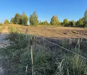 Фото к объявлению #22242288
