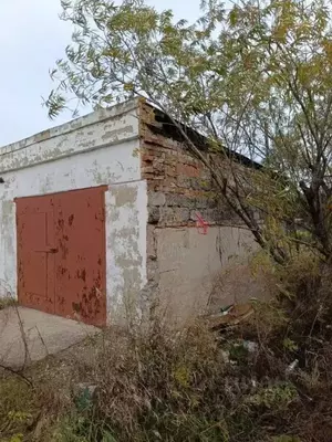 Фото к объявлению #22150017