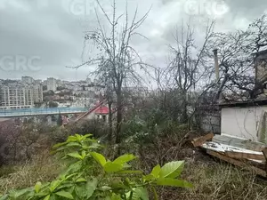 Фото к объявлению #22267488