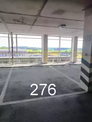 Фото к объявлению #19966499