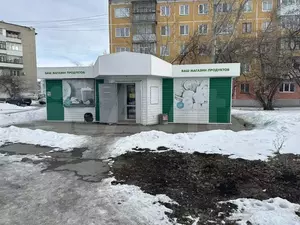 Фото к объявлению #21949096