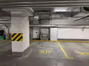 Фото к объявлению #21460052