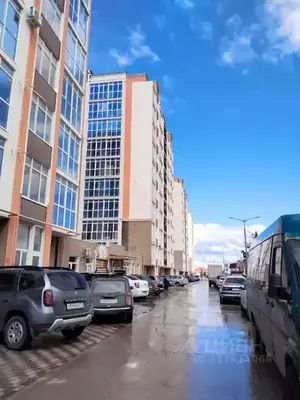 Фото к объявлению #22189223