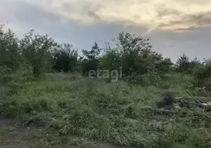 Фото к объявлению #22183302