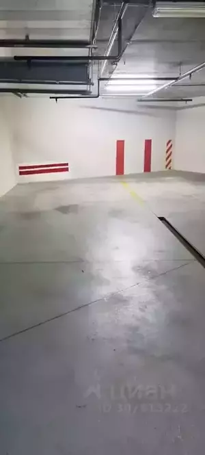 Фото к объявлению #21359881