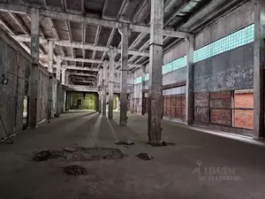 Фото к объявлению #22095708