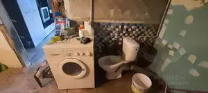 Фото к объявлению #21989013