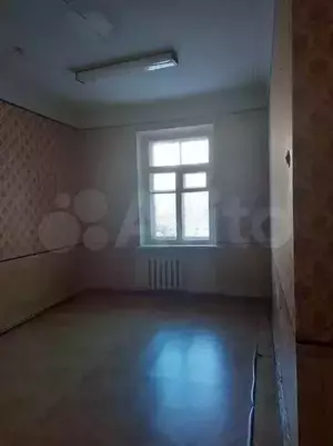 Фото к объявлению #20300202