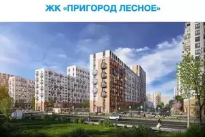 Фото к объявлению #20044753