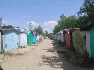 Фото к объявлению #22161901