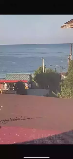 Фото к объявлению #21177486