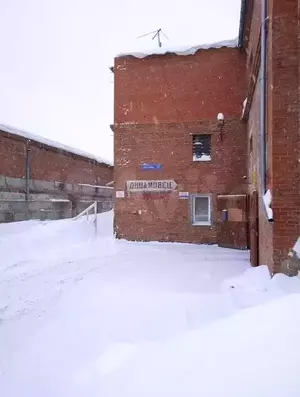 Фото к объявлению #21131097