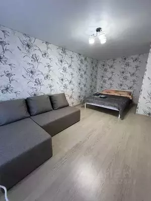 Фото к объявлению #22217109