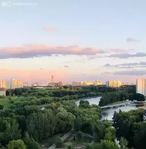 Фото к объявлению #20277640