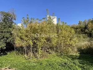 Фото к объявлению #22264800