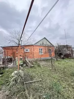 Фото к объявлению #22167306