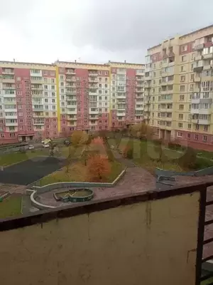 Фото к объявлению #20561196