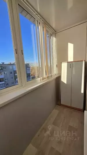 Фото к объявлению #22237459