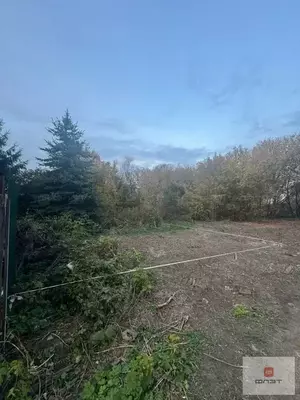 Фото к объявлению #22206785