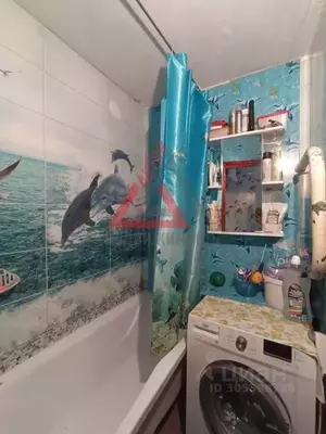 Фото к объявлению #20728916