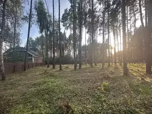 Фото к объявлению #22185773