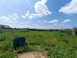 Фото к объявлению #22276647