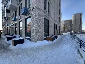 Фото к объявлению #22282301