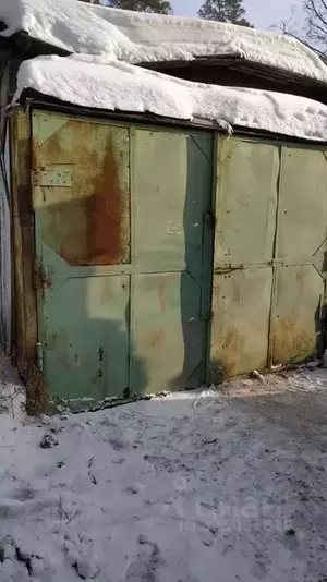 Фото к объявлению #22243051