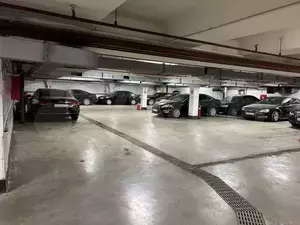 Фото к объявлению #19826458